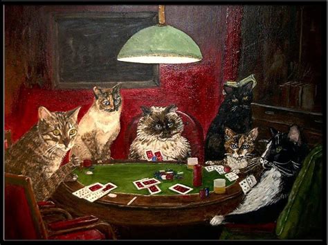 cats gambling
